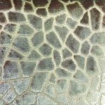 Raffles Mosaic Col 1