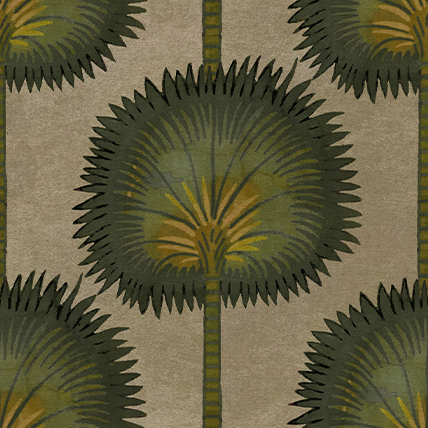 Rajasthan Co-ord - Spring