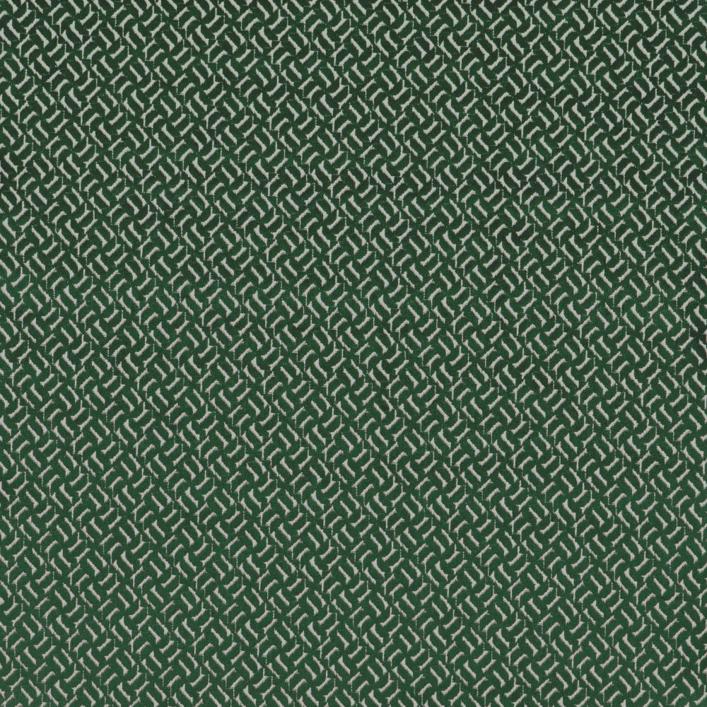apollo_evergreen_flat Apollo Evergreen - Imagem 1