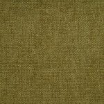 Belgravia Olive