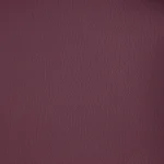 Burghley Damson