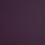 Burghley Plum