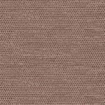 Douglas Mocha