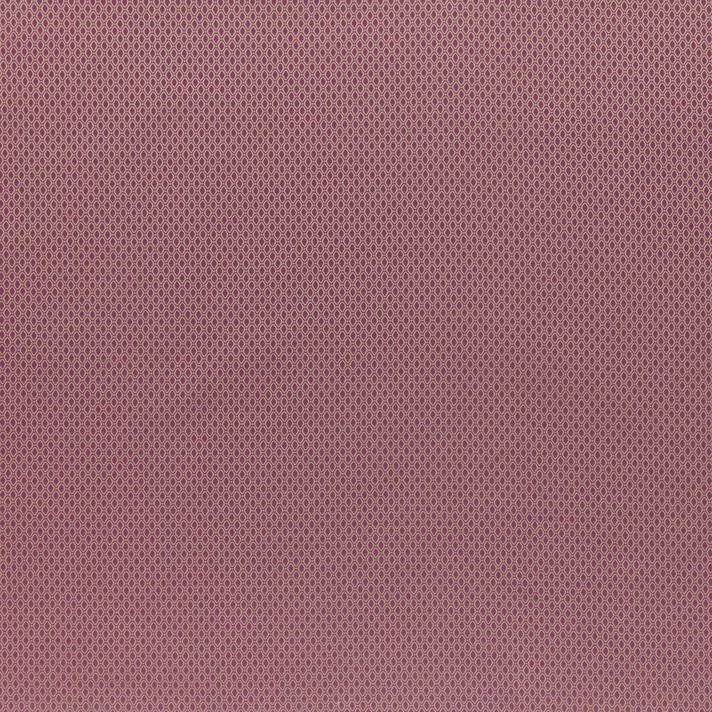 ellis_raspberry_1 Ellis Raspberry - Imagem 1