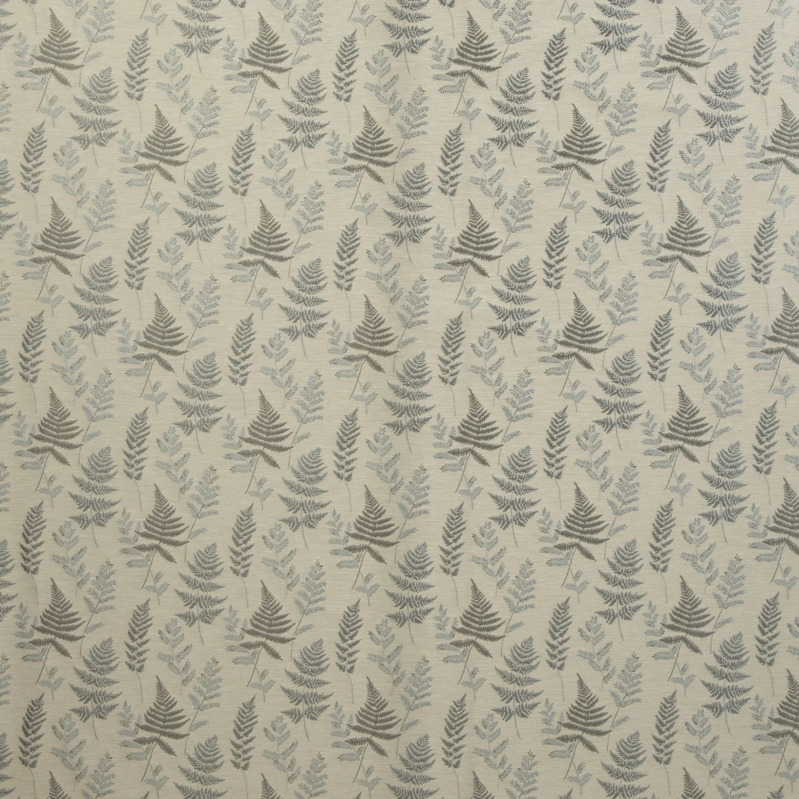ferns_eau_de_nil Ferns Eau De Nil - Imagem 1