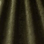 Belgravia Moss - Imagem 2