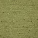 Adeline Pistachio