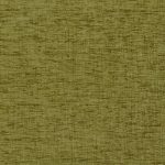 Ashbury Kiwi