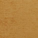 Ashbury Marigold