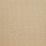 Aztec Ochre