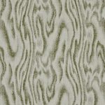 Borealis Juniper