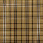 Heathcliff Ochre Woven Check