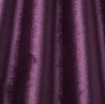 Camina Bilberry - Imagem 2
