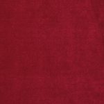 Camina Merlot