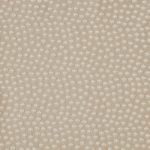 Cosmos Ivory