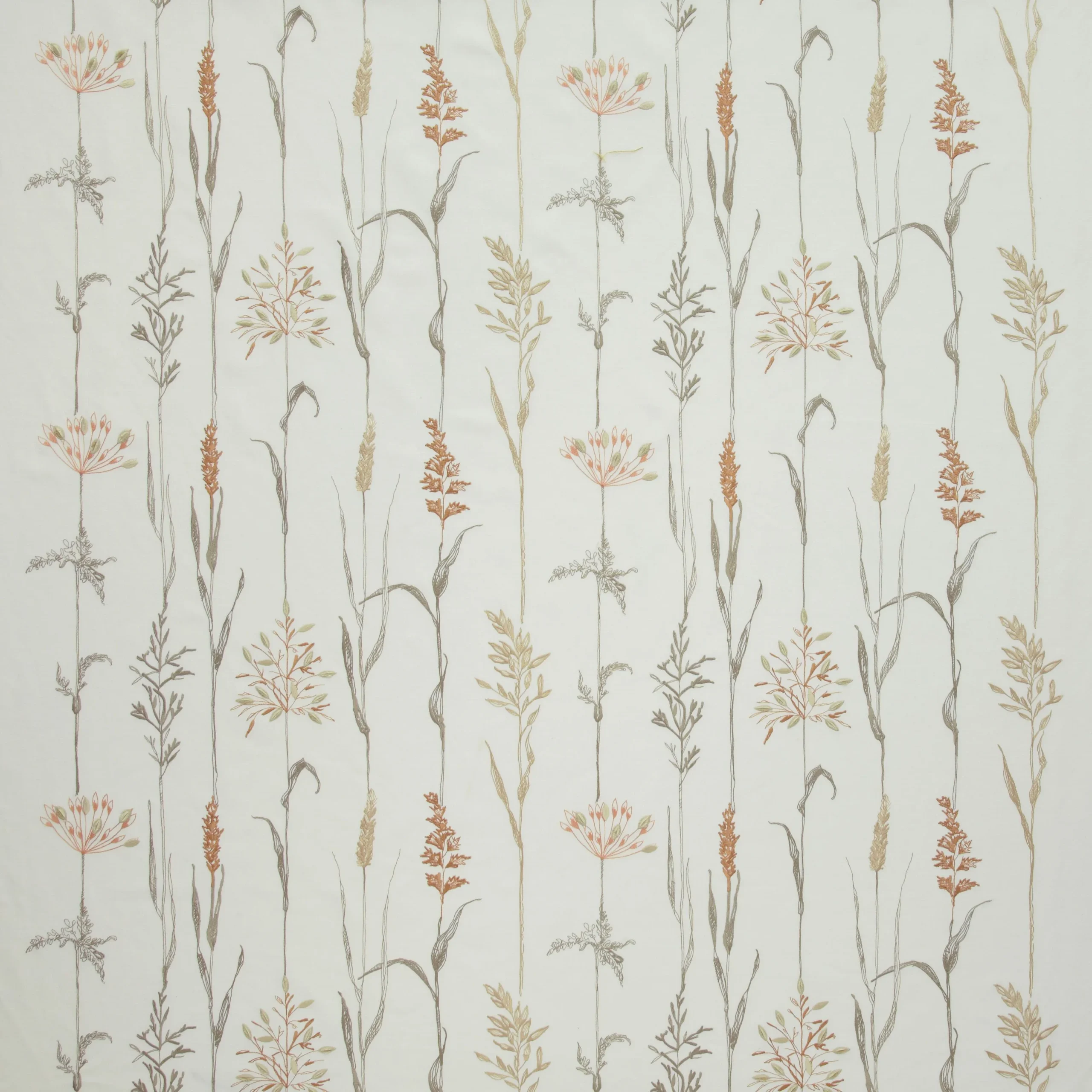 field_grasses_coral Field Grasses Coral - Imagem 1