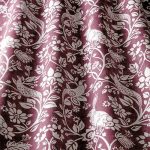 Heathland Elderberry - Imagem 2