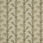 Kala Spruce