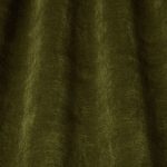 Lanata Juniper - Imagem 2