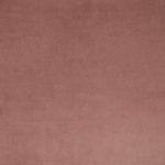 Mylo Rosedust - Imagem 3