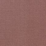 Nevis Antique Rose