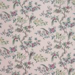 Orientalis Blush