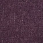 Orkney Violet