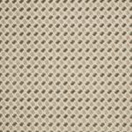 Quantum Dove Grey