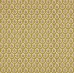 Roshni Olive