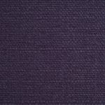 Shetland Bilberry