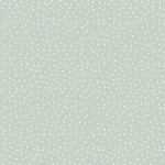 Spotty Duckegg