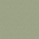 Spotty Lichen