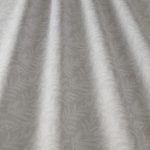 Zinnia Cream - Imagem 2