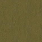 KASHMIR - Imagem 18