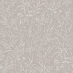 Ferns - Imagem 16
