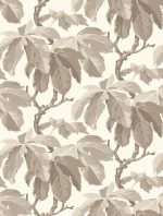 Ferns - Imagem 18