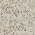 Ferns - Imagem 20