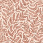 Ferns - Imagem 7