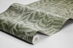 Ferns - Imagem 8