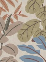 Ferns - Imagem 19