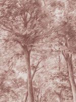 Ferns - Imagem 15