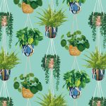 HOUSEPLANT - Cerulean Twist