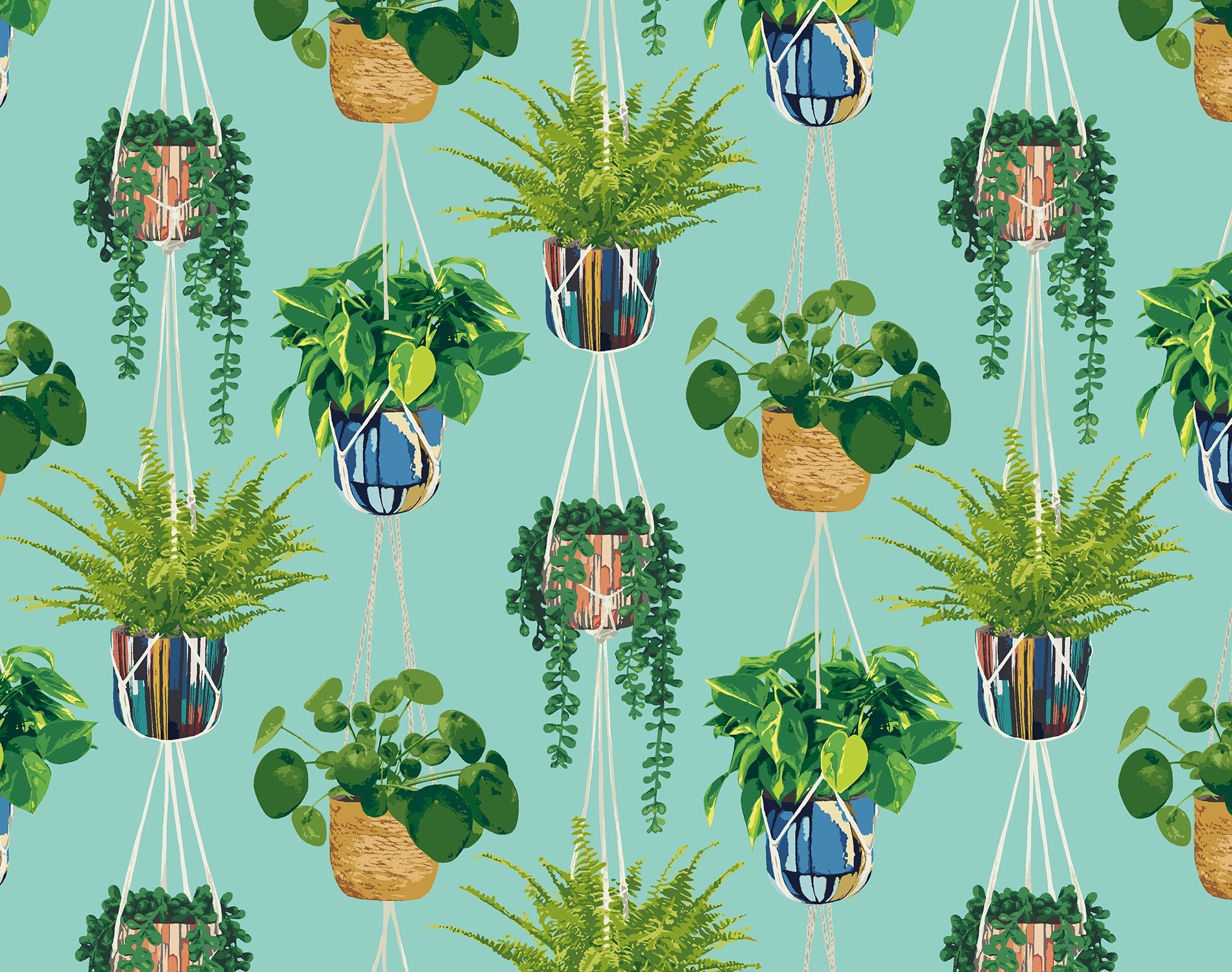 GRA50108W_HOUSEPLANT_CERULEAN_TWIST_4_REPEAT HOUSEPLANT - Cerulean Twist - Imagem 1