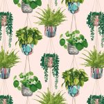 HOUSEPLANT - Ballet Slipper