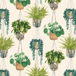 HOUSEPLANT - Sage & Cider