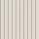 TICKING STRIPE - Elephant