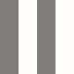 WIDE STRIPE - Charcoal