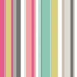 BARCODE - Raspberry