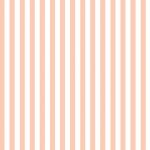 BLOC STRIPE - Peach Puff