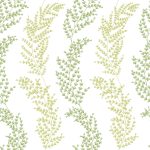MIMOSA TRAIL - Olive